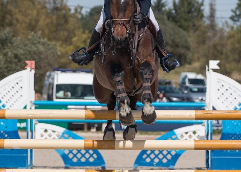 A rider and horse jumping over a hedge during a competition, demonstrating focus and attention. Trees and vehicles are blurred in the background.